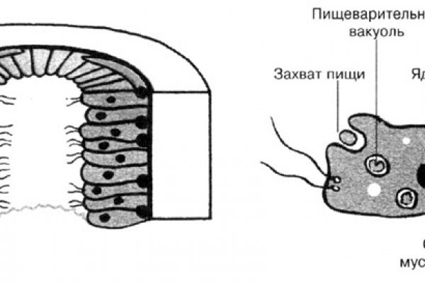 Блэк спрут pics blackprut com