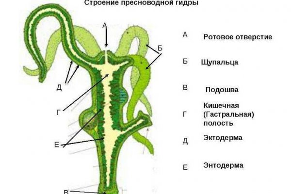 Ссылка на blacksprut blackprut com